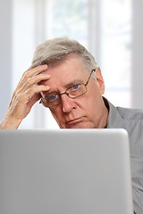 Image showing 	senior using laptop