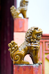 Image showing Ceramic Foo Lion Statues