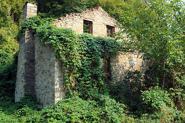 Image showing Ruined Abandoned House