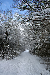 Image showing Winter-Landscape