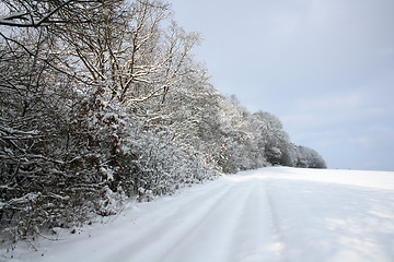 Image showing Winter-Landscape