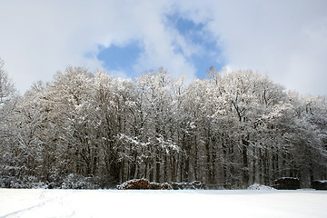 Image showing Winter-Landscape