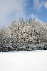Image showing Winter-Landscape