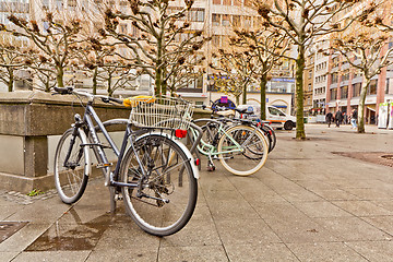 Image showing Bikes on a rack