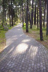 Image showing Tiled path curve in park forest. bench resort area 