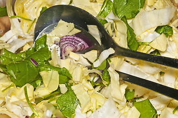 Image showing  salad of chicory and purslane