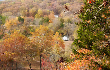 Image showing ozarks forest in fall