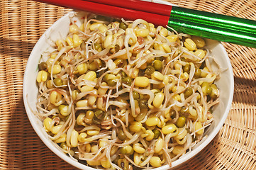 Image showing soybean sprout