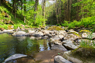 Image showing small wild river in Bohemian forest 