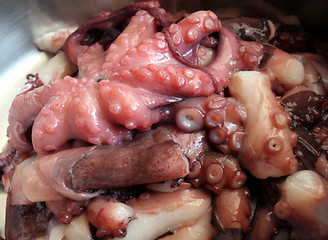 Image showing Octopus