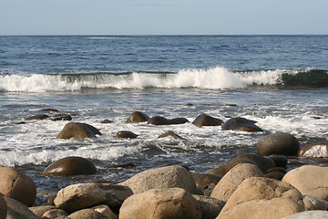 Image showing rocky beach