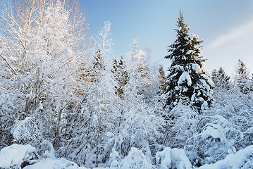 Image showing winter landscape