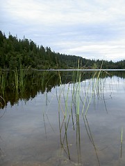 Image showing lake