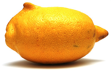 Image showing fresh yellow lemon unusual shape