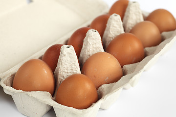 Image showing close-up of open eggbox with eggs