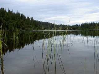 Image showing lake