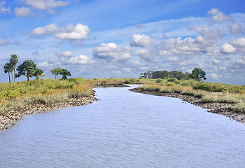 Image showing River With Trees And Sky