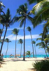 Image showing Beach scene in the Dominican Republic