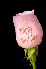 Image showing Single pink rose with Happy Birthday written on it