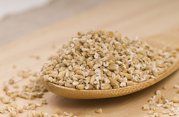 Image showing Steel cut oats on a wooden spoon