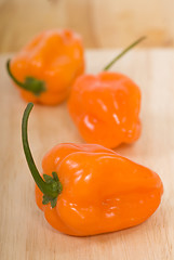 Image showing Fresh Habanero peppers