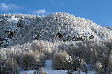 Image showing Winter in Pragelato