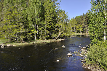 Image showing Fishing in river