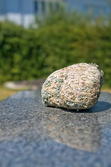 Image showing pebble on stone
