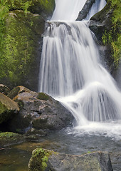 Image showing detail of the Triberg Waterfalls