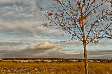 Image showing Saskatchewan Landscape