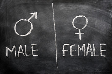 Image showing Male and female signs