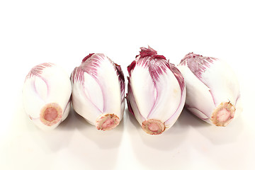 Image showing fresh chicory