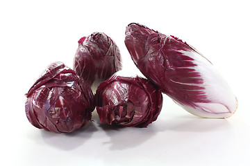 Image showing red chicory