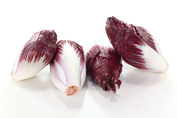 Image showing chicory