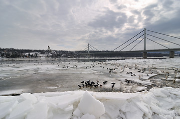 Image showing Ice on river