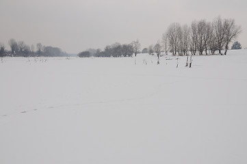 Image showing Winter landscape