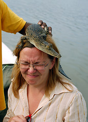Image showing Baby Crocodile on the Woman's Head