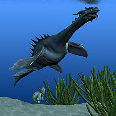 Image showing Sea Dragon 02