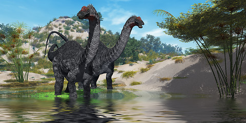 Image showing Apatasaurus 02