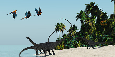 Image showing Diplodocus 02