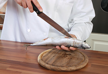 Image showing Chef and fish