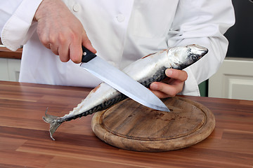 Image showing Chef and fish