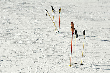 Image showing Ski poles