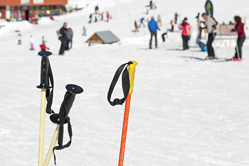 Image showing Ski poles