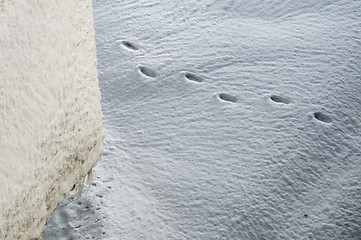 Image showing Snow drifts and steps