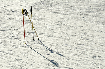 Image showing Ski poles