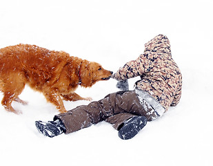 Image showing Boy playing with dog at snow