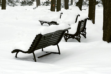 Image showing Bench at snow