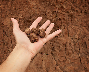 Image showing Hand with lumps of clay ground