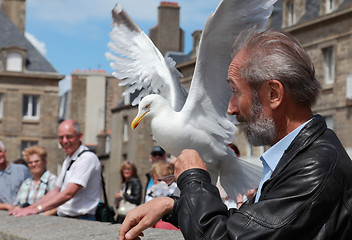 Image showing The man and the gull